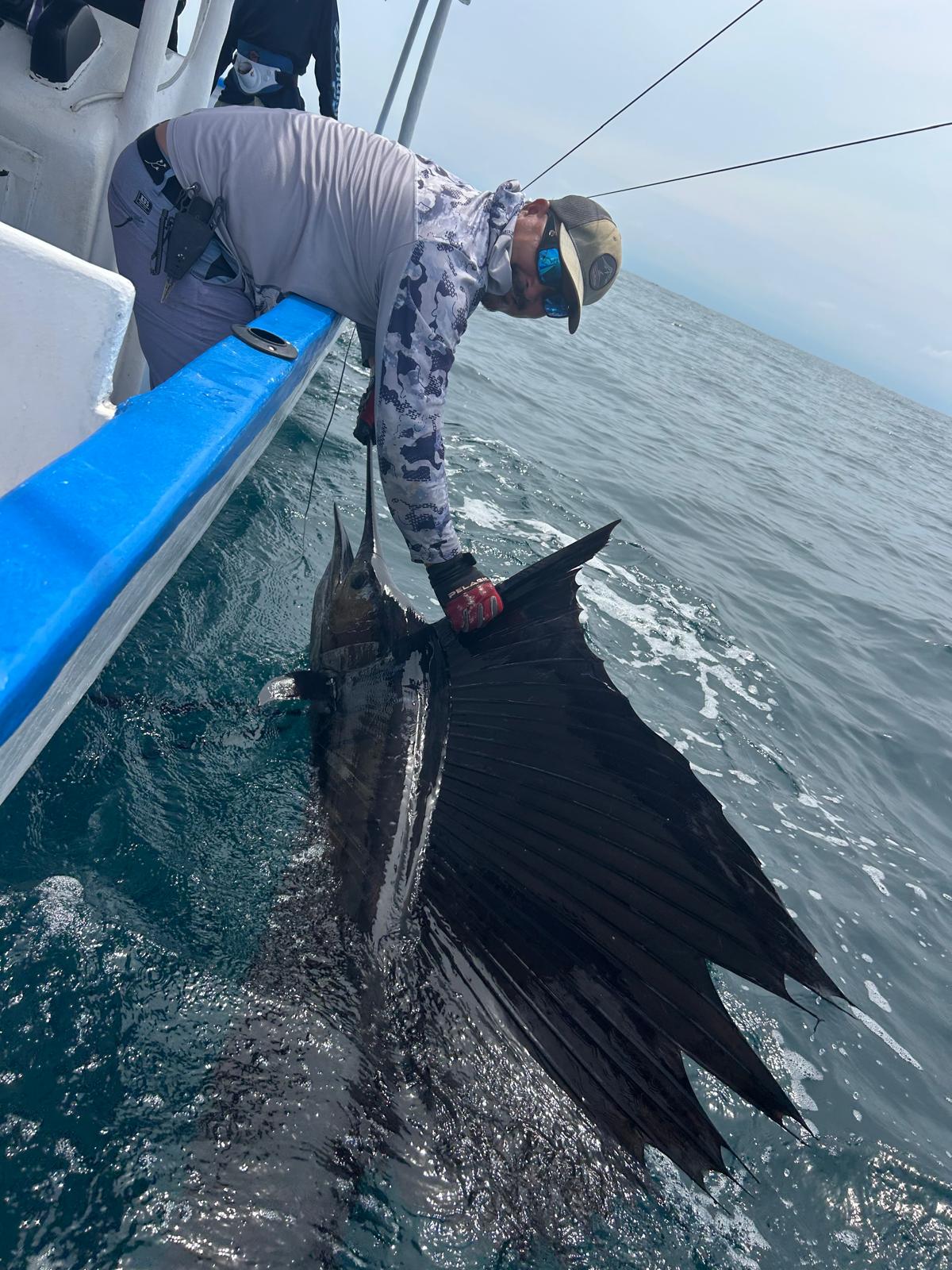 Sailfish being handled beside the Soleil fishing boat